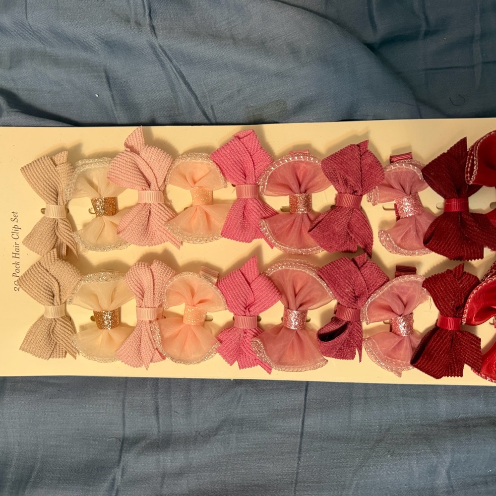 Assorted Pink and Red Hair Clip Set